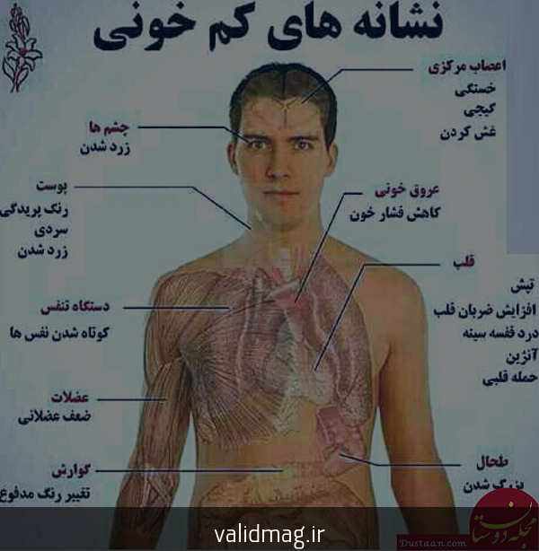 رشد قد کودک در هر ماه